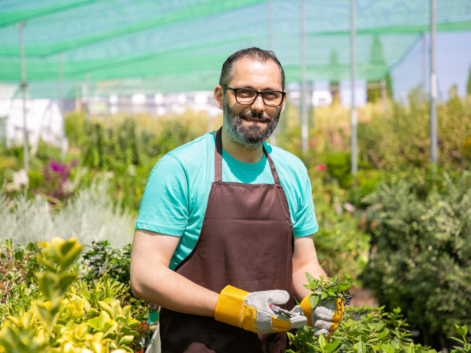 Positive male florist standing among rows with potted plants in greenhouse, cutting bush, holding sprouts, looking at camera and smiling. Gardening job concept